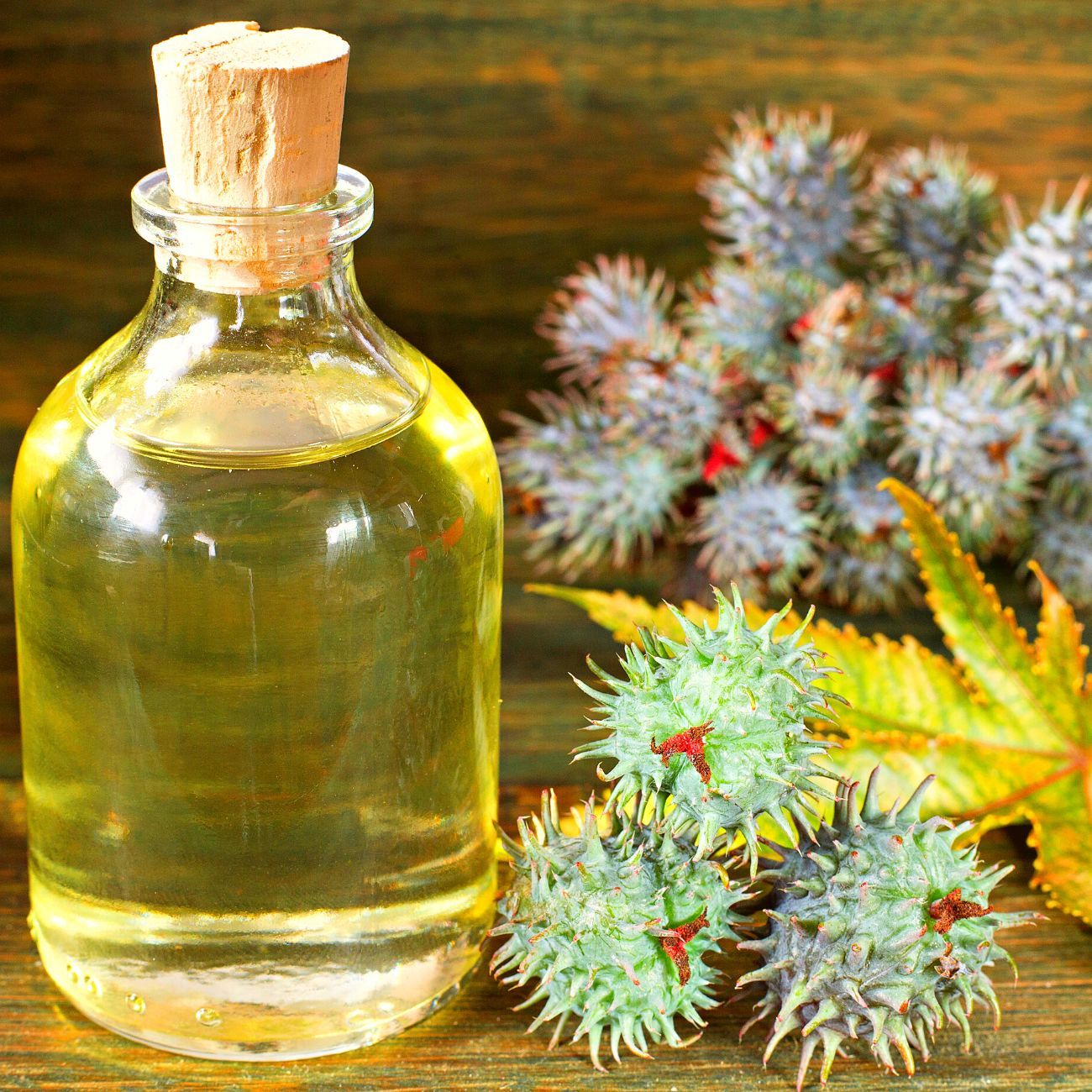 What is Cold-Pressed Castor Oil & Where Can I Buy It?